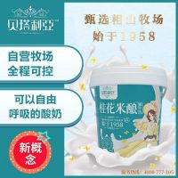 桂花米酿酸牛乳